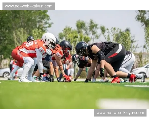 橄榄球赛事深度